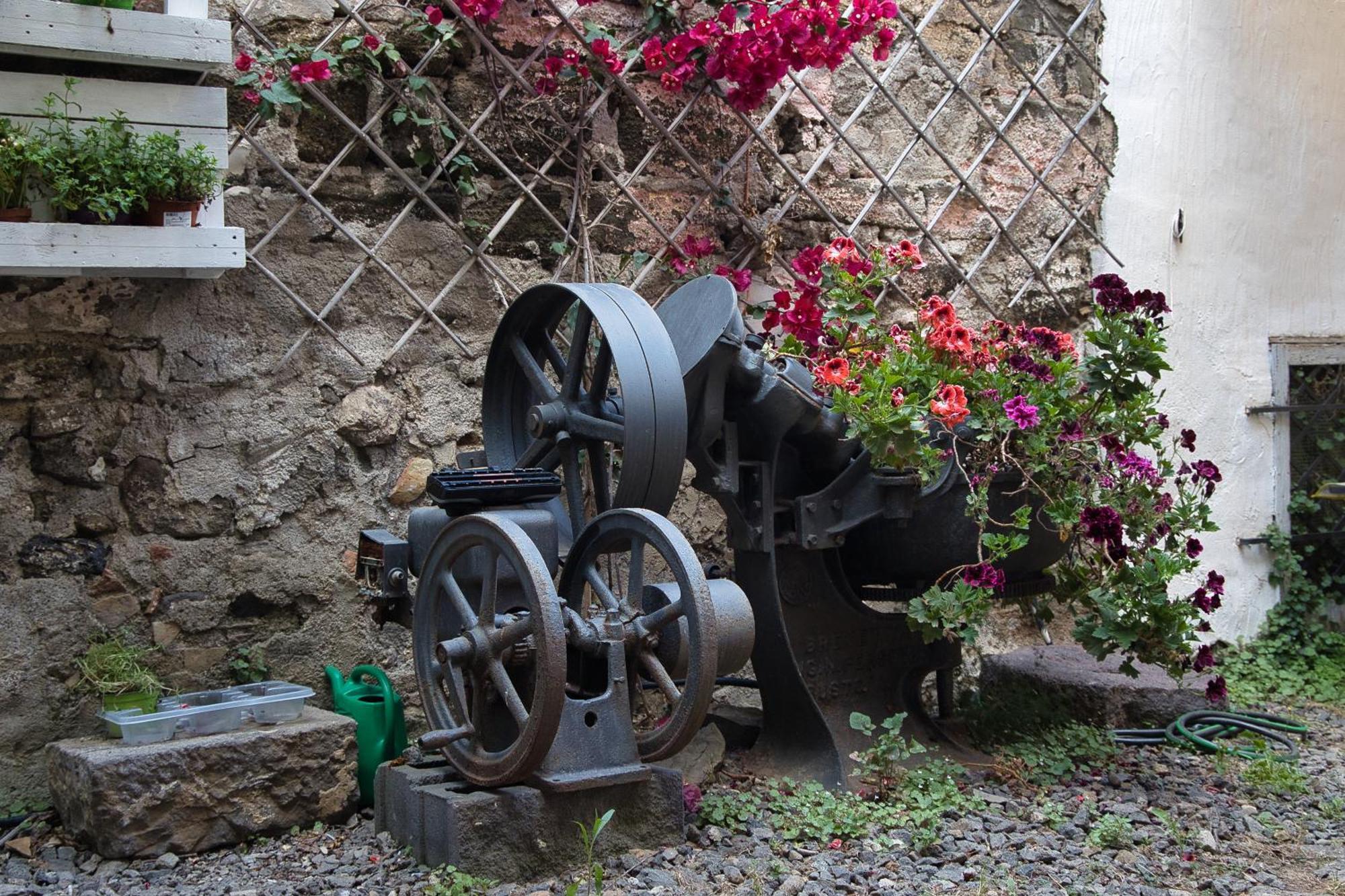 Hotel Baglio Antico Forno Isola di Ustica Exterior foto